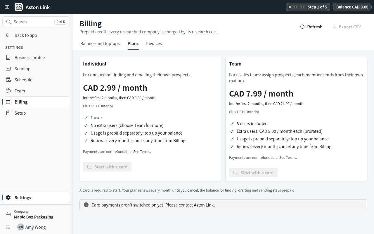 Pick Individual or Team. You pay by card on Stripe's secure page; usage is prepaid separately, as credit.