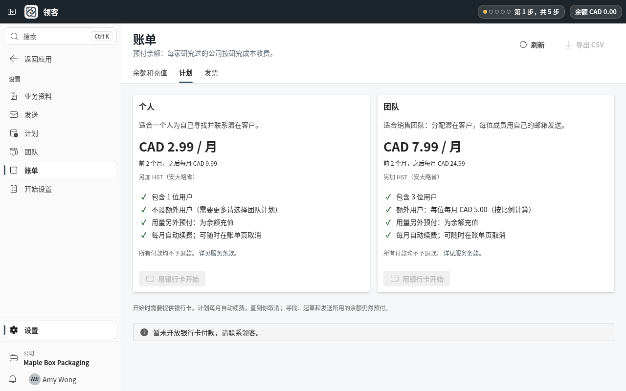 选择“个人”或“团队”方案。你会在 Stripe 的安全页面用银行卡付款;用量另外以余额预付。